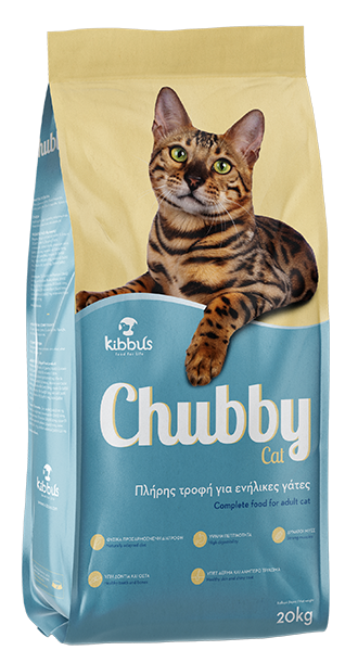 Chubby cat  20kg